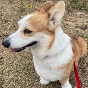 Meet your Posher, Kenady